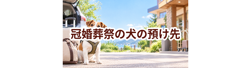 冠婚葬祭の犬の預け先はいくら？費用と予約前の確認ポイント