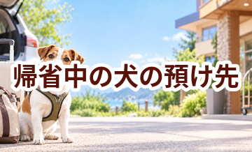 帰省中の犬の預け先はいくら？費用と予約前の確認ポイント