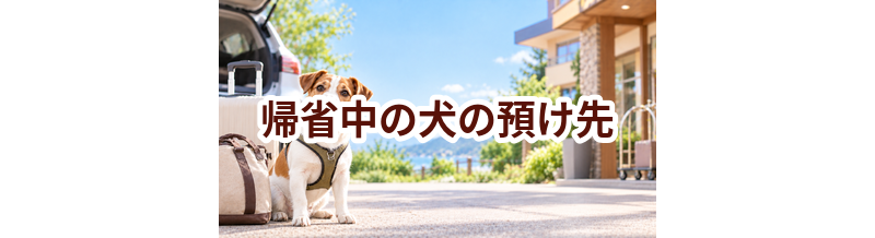 帰省中の犬の預け先はいくら？費用と予約前の確認ポイント