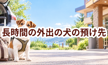 長時間の外出の犬の預け先はいくら？費用と予約前の確認ポイント