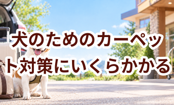 犬のためのカーペット対策にいくらかかる？必要な用品と費用