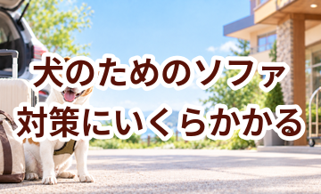 犬のためのソファ対策にいくらかかる？必要な用品と費用