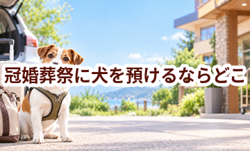 冠婚葬祭に犬を預けるならどこ？ホテル・シッター・家族に頼む場合を比較