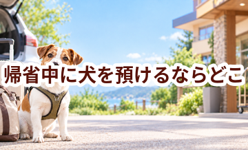 帰省中に犬を預けるならどこ？ホテル・シッター・家族に頼む場合を比較
