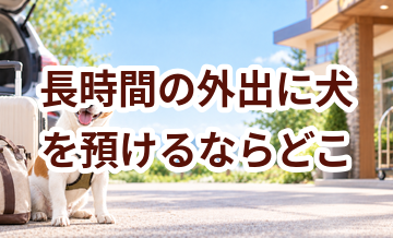 長時間の外出に犬を預けるならどこ？ホテル・シッター・家族に頼む場合を比較