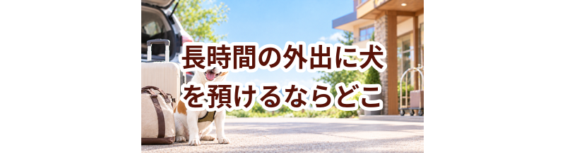 長時間の外出に犬を預けるならどこ？ホテル・シッター・家族に頼む場合を比較
