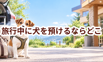 旅行中に犬を預けるならどこ？ホテル・シッター・家族に頼む場合を比較