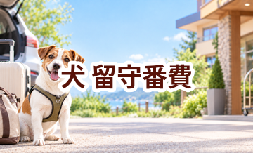犬の留守番費はいくらかかる？年間予算の立て方と節約ポイント