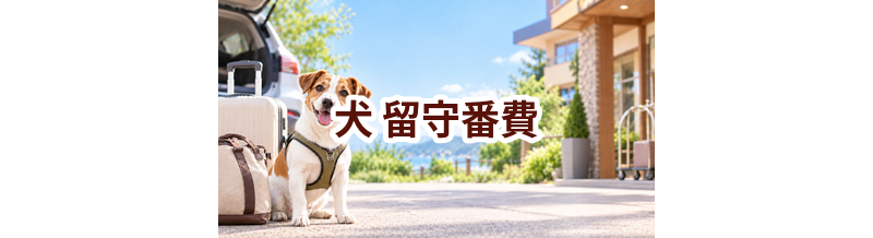 犬の留守番費はいくらかかる？年間予算の立て方と節約ポイント