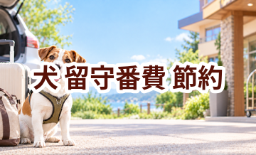 犬の留守番費を抑えるには？無理なく続ける節約方法