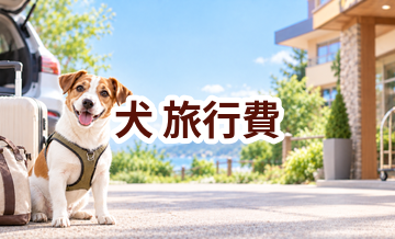 犬の旅行費はいくらかかる？年間予算の立て方と節約ポイント