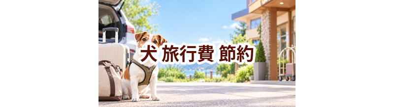 犬の旅行費を抑えるには？無理なく続ける節約方法