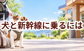 犬と新幹線に乗るには？料金・キャリー・事前準備