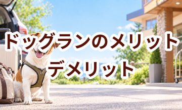 ドッグランのメリット・デメリット｜向いている家庭を考える
