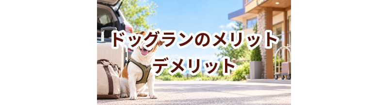 ドッグランのメリット・デメリット｜向いている家庭を考える