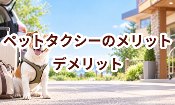 ペットタクシーのメリット・デメリット｜向いている家庭を考える