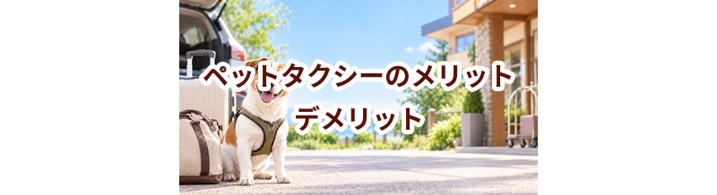 ペットタクシーのメリット・デメリット｜向いている家庭を考える