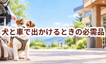 犬と車で出かけるときの必需品｜安全対策と便利グッズ
