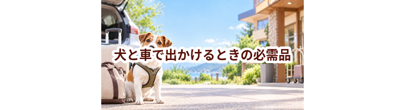 犬と車で出かけるときの必需品｜安全対策と便利グッズ