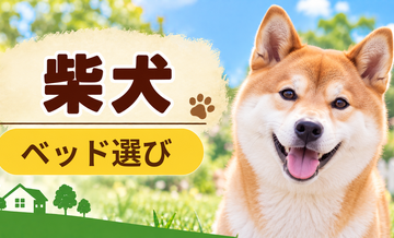 柴犬のベッド選び｜体格・季節・洗いやすさで比較