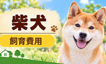 柴犬を飼う費用はいくら？初期費用・年間費用・生涯費用を解説