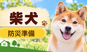 柴犬の防災準備｜避難時に必要な用品と持ち出しリスト