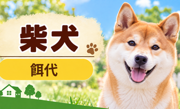 柴犬の餌代は月いくら？体重からドッグフード代をシミュレーション