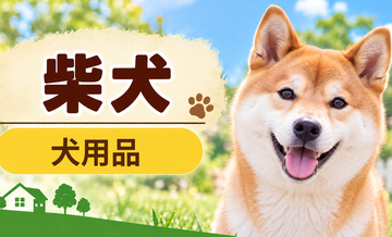 柴犬向け犬用品の選び方｜ケージ・ベッド・ハーネスをまとめて確認