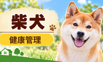 柴犬の健康管理で意識したいこと｜毎日のチェックと定期健診