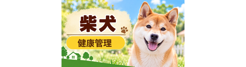 柴犬の健康管理で意識したいこと｜毎日のチェックと定期健診