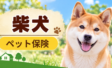柴犬のペット保険料はいくら？加入前に確認したい補償と費用