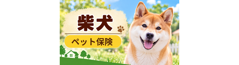 柴犬のペット保険料はいくら？加入前に確認したい補償と費用