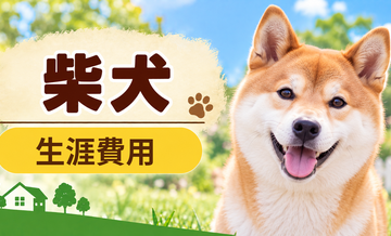 柴犬の生涯費用はいくら？子犬からシニアまで長期で考える