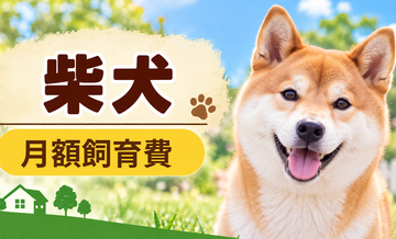 柴犬の飼育費は月いくら？食費・日用品・保険料を家計シミュレーション