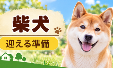 柴犬を迎えるときに必要なもの｜サイズ選びと初期費用