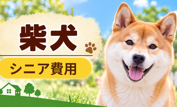 シニア期の柴犬にかかる費用｜食事・医療・介護の準備