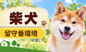 柴犬の留守番環境を整える｜安全対策と便利グッズ