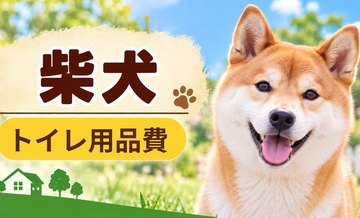 柴犬のトイレ用品にかかる費用｜シーツ代と掃除用品を計算