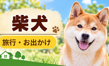 柴犬と旅行するときの持ち物｜移動・宿泊で役立つ犬用品