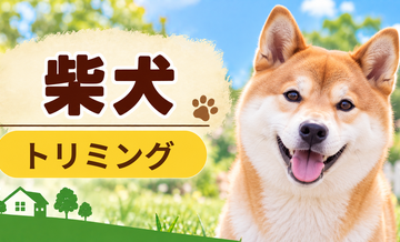 柴犬のトリミング代はいくら？頻度と年間費用を計算