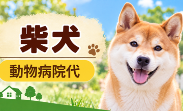 柴犬の動物病院代は年間いくら？健康診断・予防・急な通院に備える