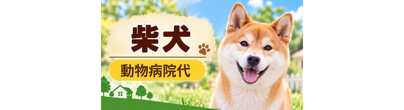 柴犬の動物病院代は年間いくら？健康診断・予防・急な通院に備える