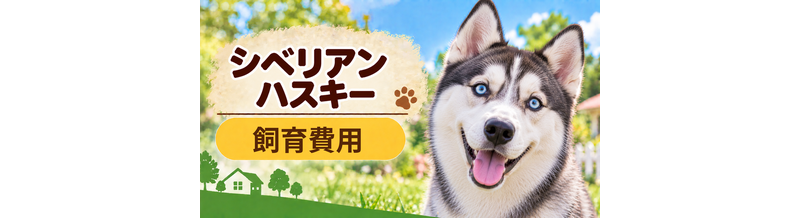 シベリアンハスキーを飼う費用はいくら？初期費用・年間費用・生涯費用を解説