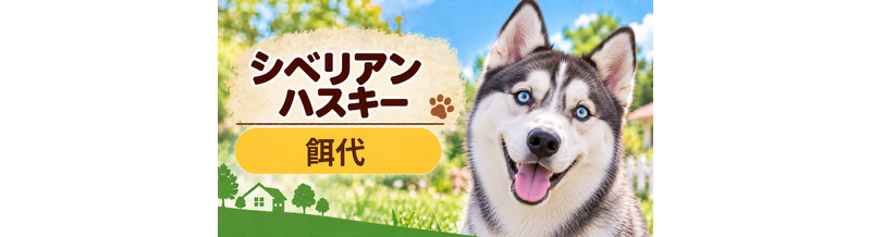 シベリアンハスキーの餌代は月いくら？体重からドッグフード代をシミュレーション