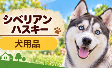 シベリアンハスキー向け犬用品の選び方｜ケージ・ベッド・ハーネスをまとめて確認