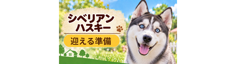 シベリアンハスキーを迎えるときに必要なもの｜サイズ選びと初期費用