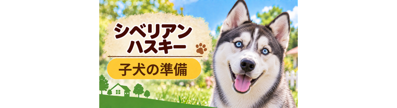 シベリアンハスキーの子犬を迎えた1週間でやること｜食事・トイレ・生活環境
