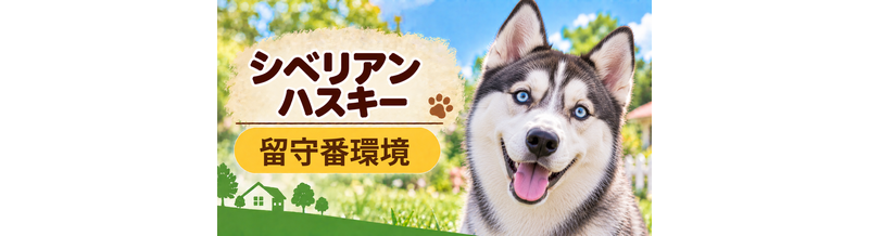 シベリアンハスキーの留守番環境を整える｜安全対策と便利グッズ