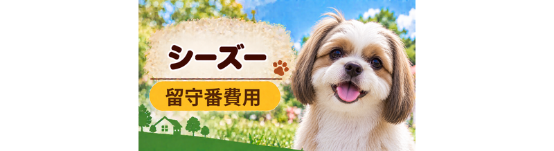 シーズーの留守番対策にいくらかかる？カメラ・給餌器・シッターを比較