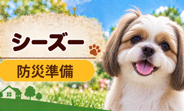シーズーの防災準備｜避難時に必要な用品と持ち出しリスト